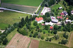 Imovica
