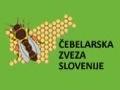 czs